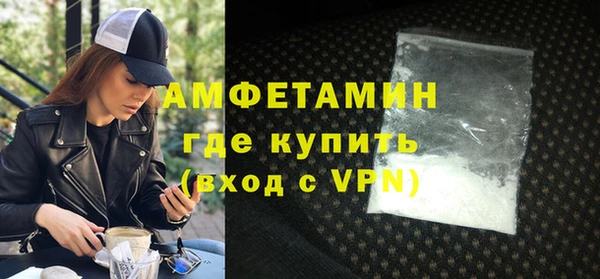 индика Алексин
