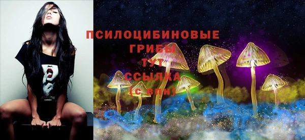 МДМА Абаза