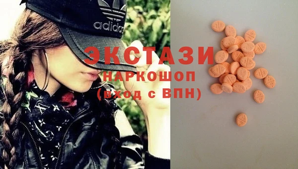 индика Алексин