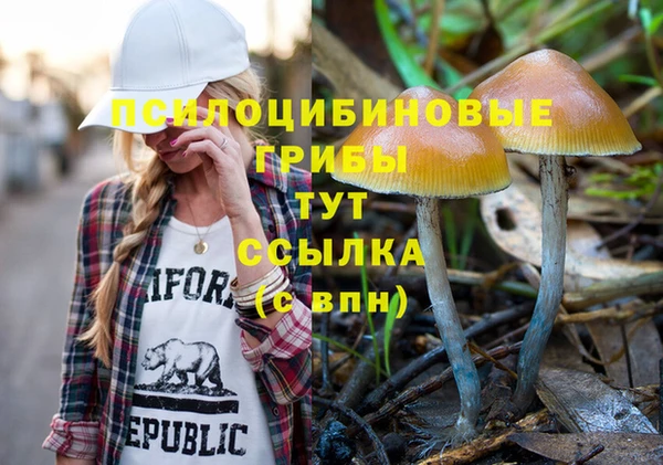 кокс Аркадак