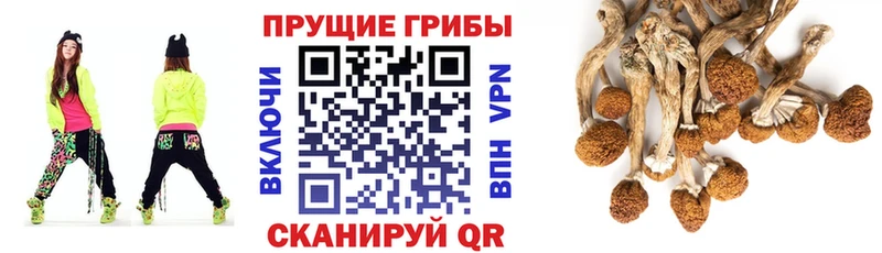 наркотики  Сыктывкар  Псилоцибиновые грибы мухоморы 