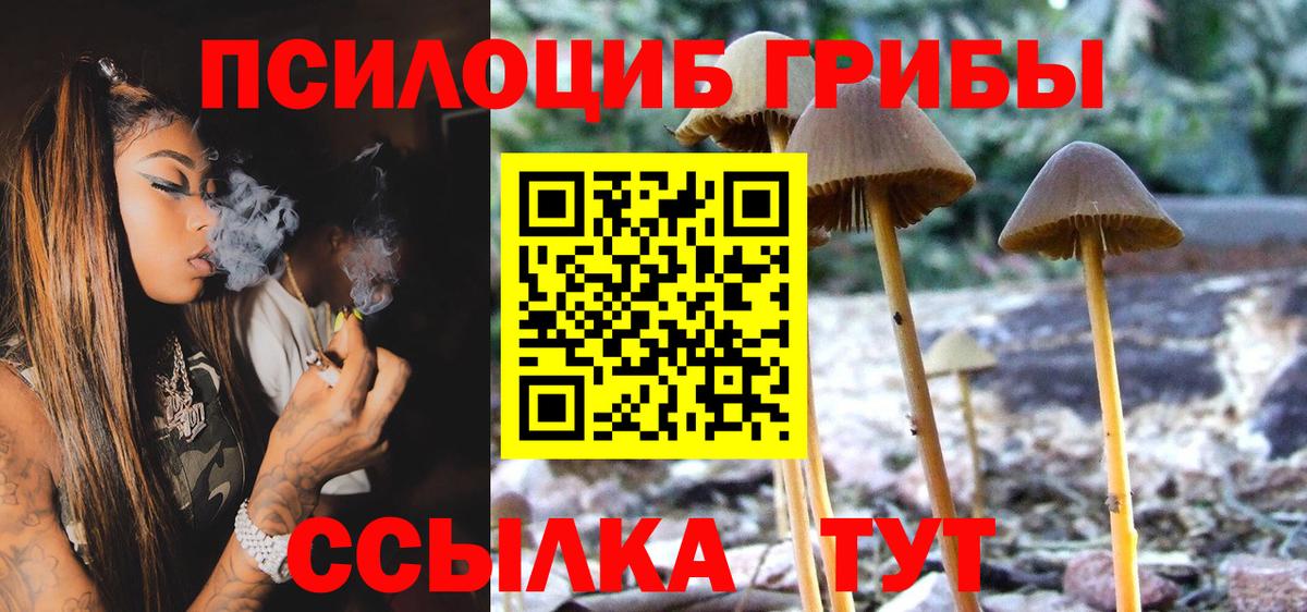 Галлюциногенные грибы прущие грибы  Вход с VPN  Сыктывкар 